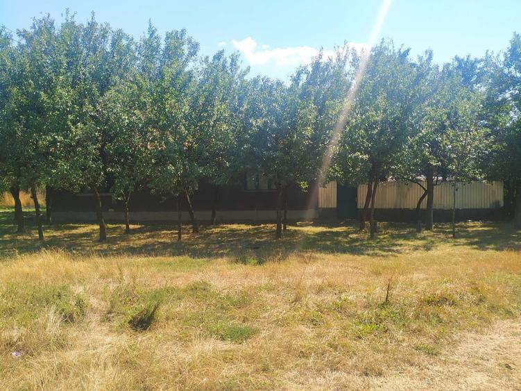 Casă cu 3 camere în Talpoș