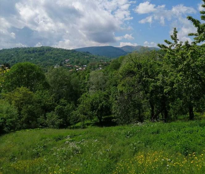 Casă cu 4 camere în Secăria
