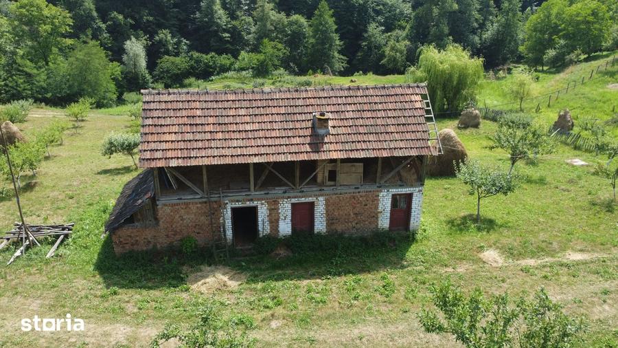 Teren de 6200 mp, în Cicănești