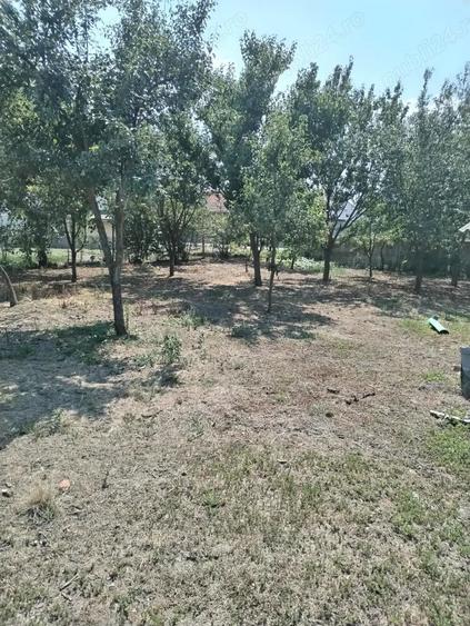 Casă cu 5 camere în Racovița