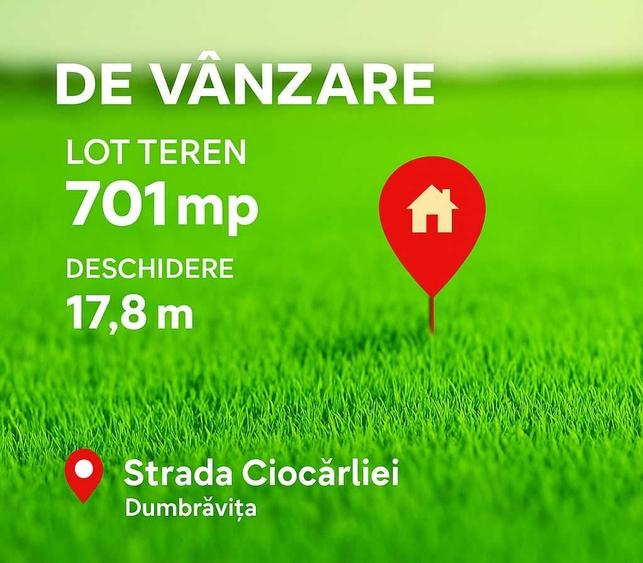 Teren Dumbravita zona Lac - Proprietar - 8
