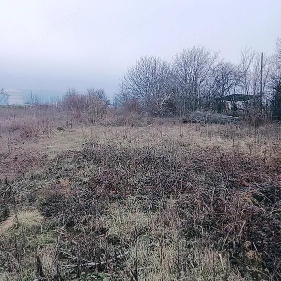 Teren de 2500 mp, în Boldești