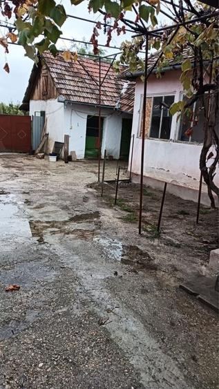 Casă cu 4 camere în Berechiu