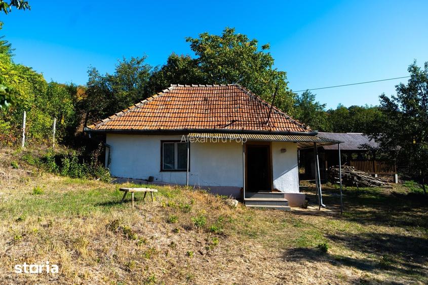 Teren Parcelabil I 11400 MP I Corpadea