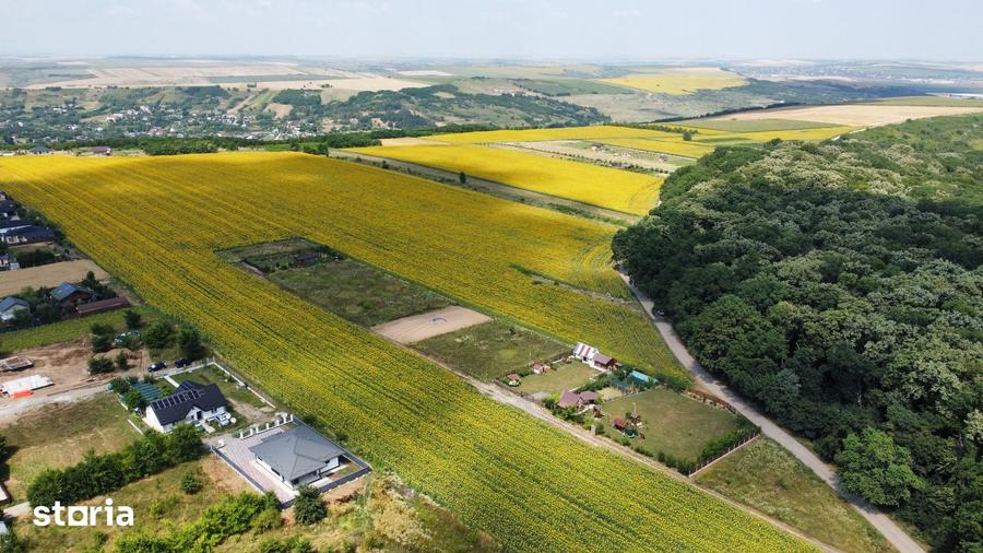 Teren de 4560 mp, în Miroslava