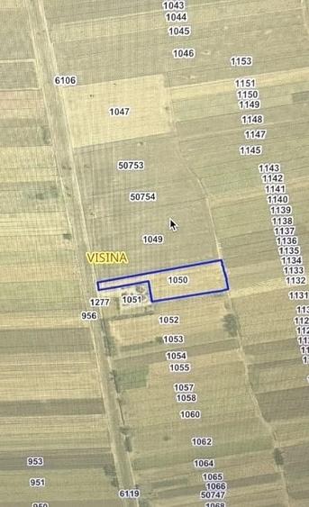 Teren de 5000 mp, în Vișina