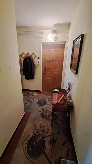 Apartament cu 2 camere semidecomandat în Plantelor