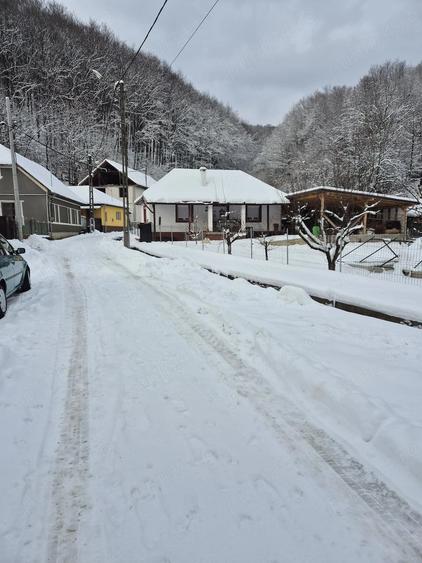 Casă cu 2 camere cu Teren 720 Mp în Moneasa