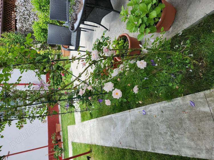 Casă cu 4 camere cu Teren 563 Mp în Central