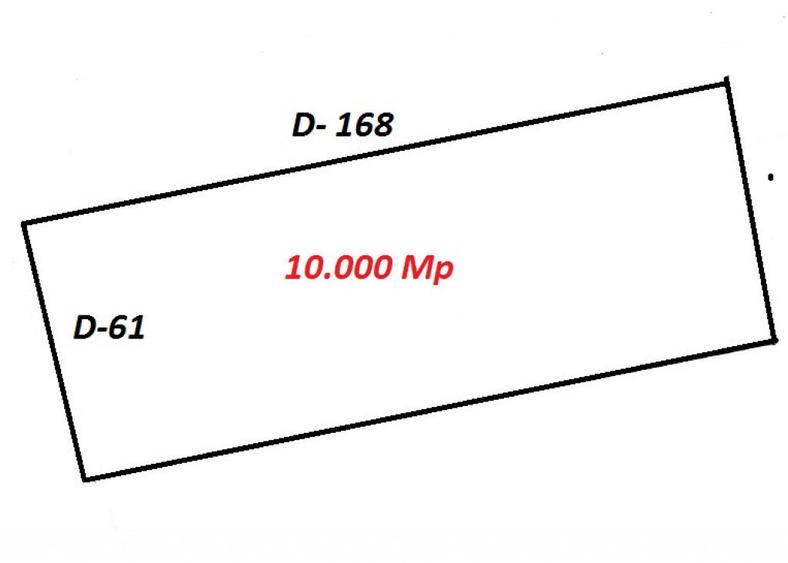 Teren Sos Straulesti Stradal 10000 New 2026 - 1