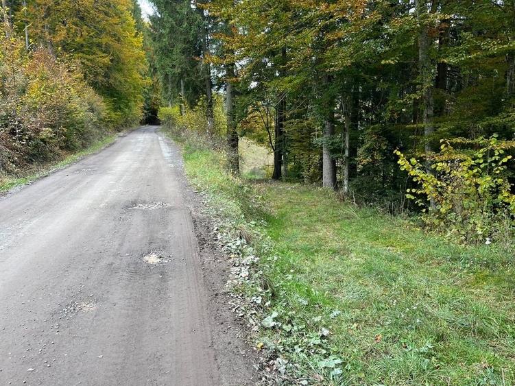 Teren de 5600 mp, în Vărșag