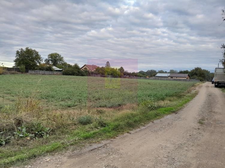 Teren în Central
