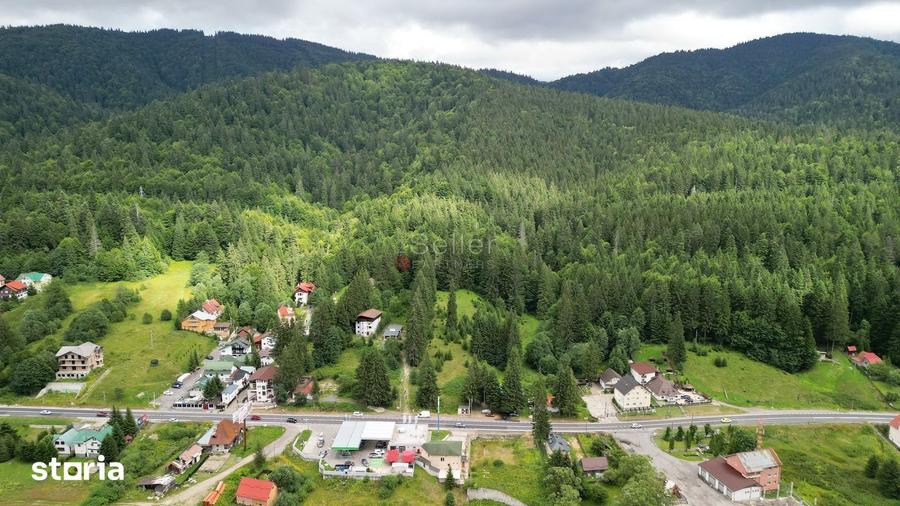 Teren de 9000 mp, în Malul Ursului