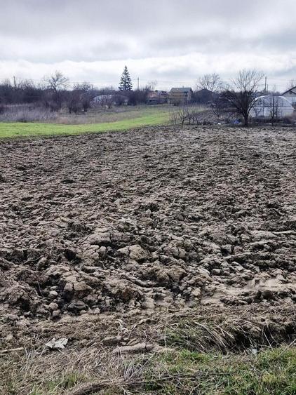 Teren agricol extravilan de 5000 mp, în Vărăști
