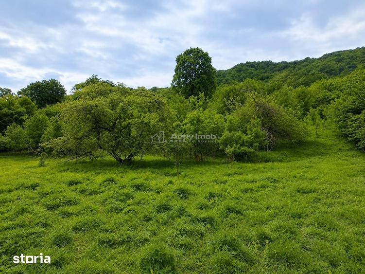 Teren de 5967 mp, în Tălmaciu