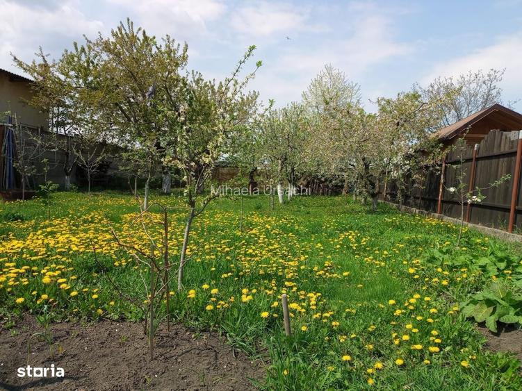Teren 1.590 Mp Cu Casa Si Depozit Oportunitate De Investitie