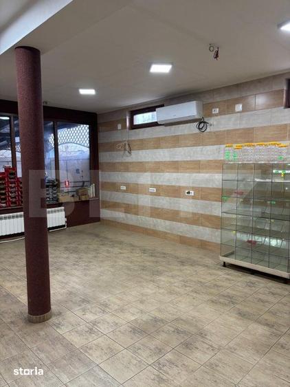 Casă cu 5 camere cu Teren 800 Mp în Salcea