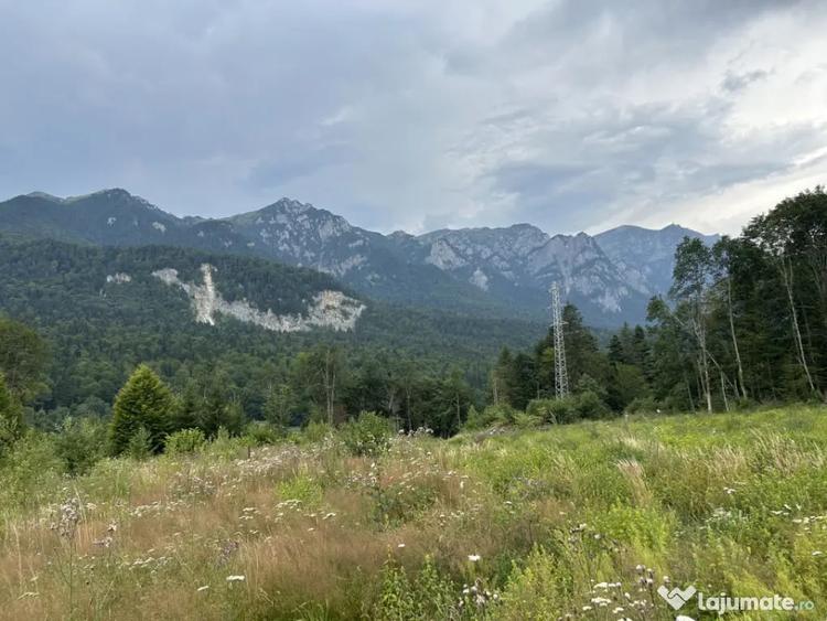 Teren în Nord