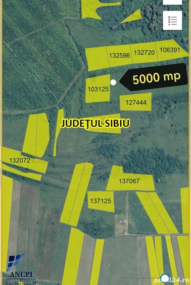 Teren de 2500 mp, în Nord