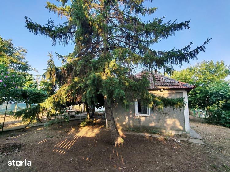 Comision0%-AlmanImobiliare-OazaDeCurte-1100Mp-CasaRenovabila-Mangalia - 12