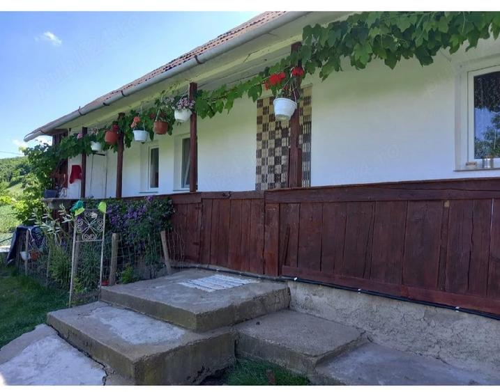 Casă cu 3 camere cu Teren 2000 Mp în Șendriceni
