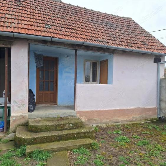 Casă cu Teren 4636 Mp în Central
