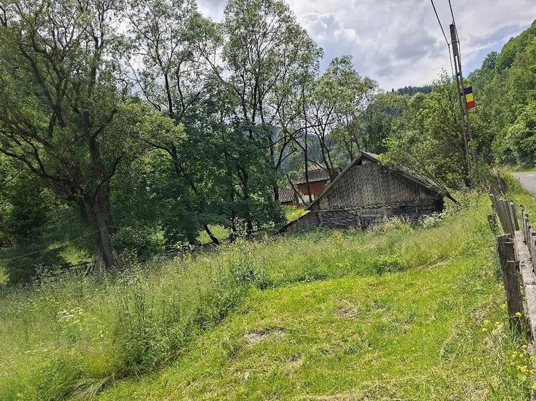 Teren de Vanzare - 5