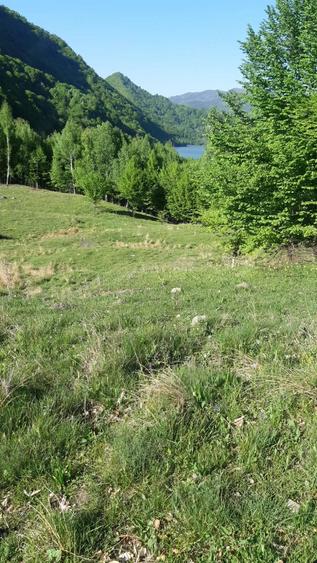 Teren de 5 hectare la Lacul Siriu - 3