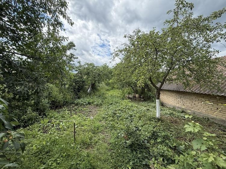 Casa in Podeni, potential deosebit - 6