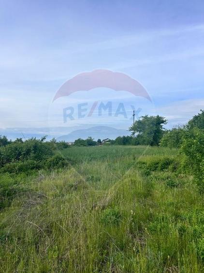 Teren Construcții intravilan de 6400 mp, în Păulești