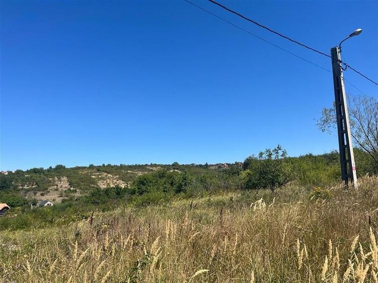 Teren Construcții intravilan de 4251 mp, în Dealuri Oradea