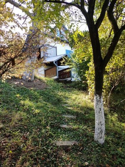 Teren Construcții intravilan de 9100 mp, în Viile Noi