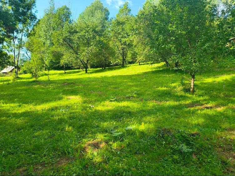 Teren Construcții intravilan de 1000 mp, în Secăriei