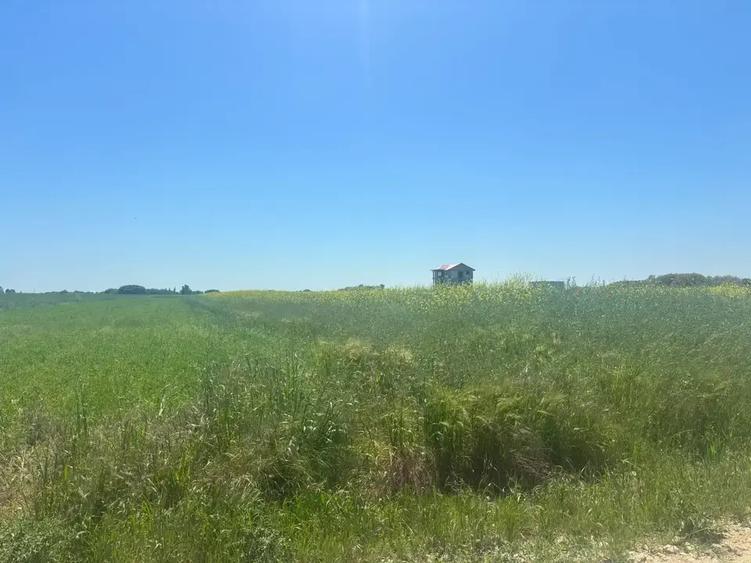 Teren agricol intravilan de 500 mp, în Berceni