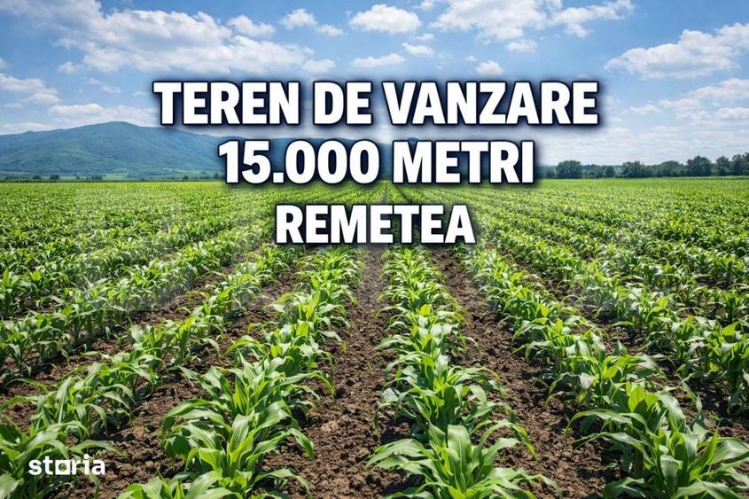Teren de 15000 mp, în Remetea Mare