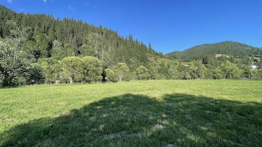 Teren de 5500 mp, în Ciocănești