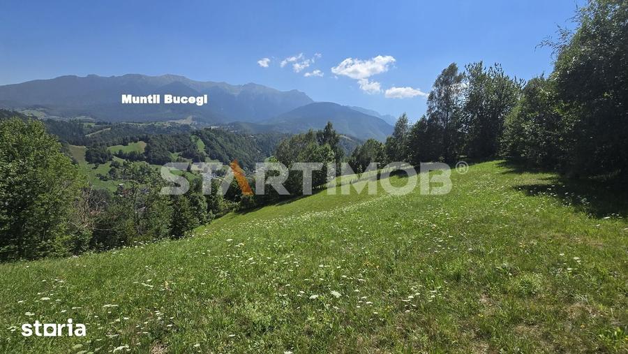 Teren de 3296 mp, în Bran