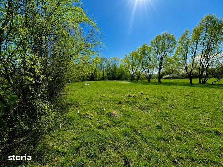 Teren de 1300 mp, în Central