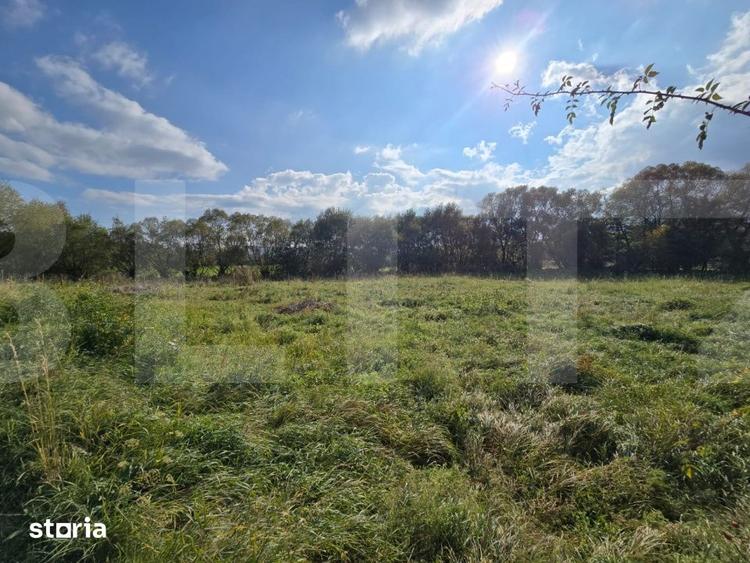 Teren de 1200 mp, în Ciurila