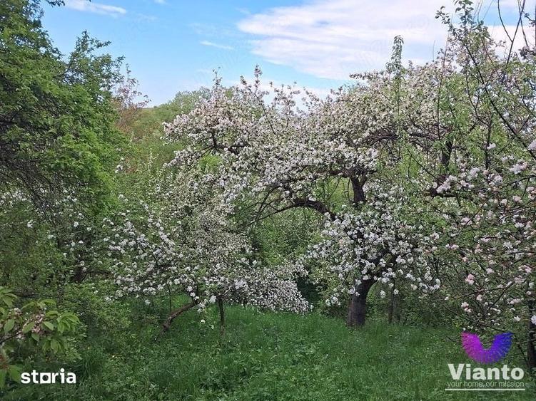 Casă cu 3 camere cu Teren 909 Mp în Poiana Sibiului