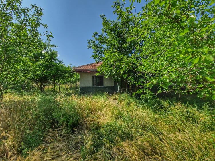 Teren Construcții intravilan de 1479 mp, în Polcești