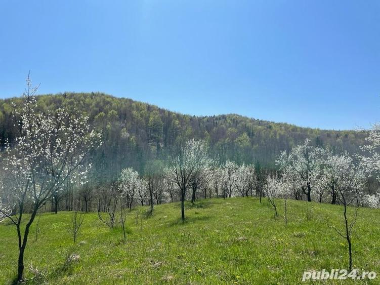 Teren de 9104 mp, în Brebu