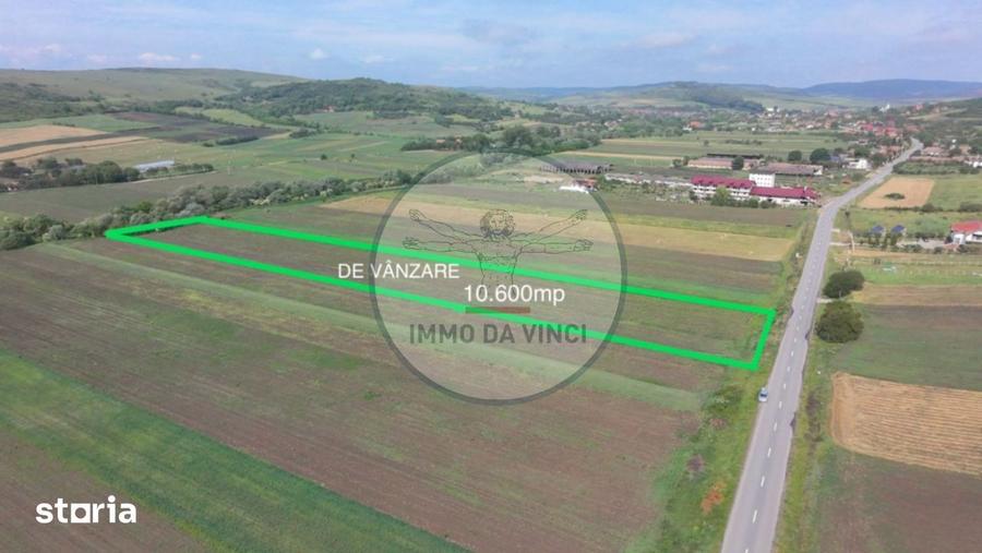 Teren de 10670 mp, în Borșa
