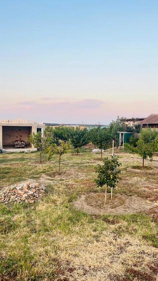 Casă cu 4 camere cu Teren 50000 Mp în Rogova