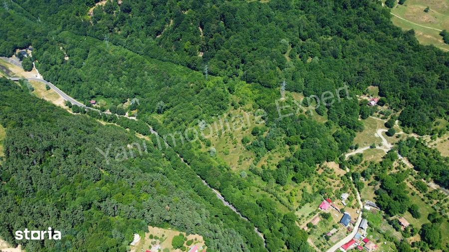 Teren de vanzare pe Transfagara?an ( 75.200 mp ) - 1