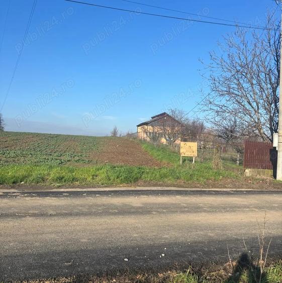 Teren de 5000 mp, în Glina