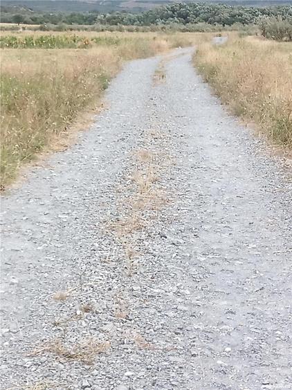 Vand teren langa Dunare 2200de metri patra?i sau ?i cu parcele - 6