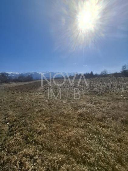 Teren agricol extravilan de 2100 mp, în Arpașu de Sus