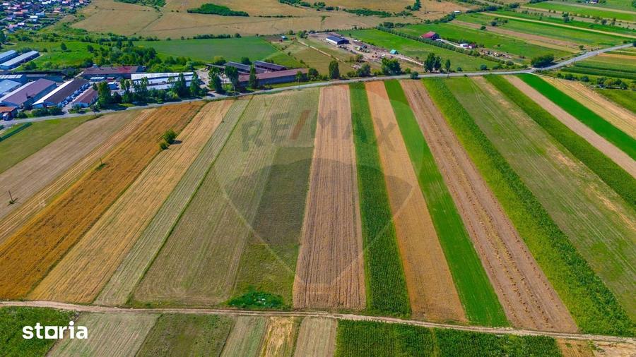 Teren de 7000 mp, în Teliu