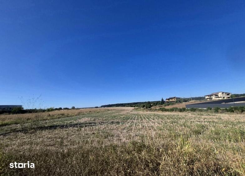 Teren pentru constructie casa cu utilitati Ciolpani, zona Izvorani - 2
